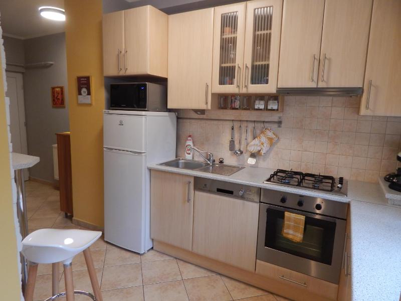 Two-Bedroom Apartment image 4