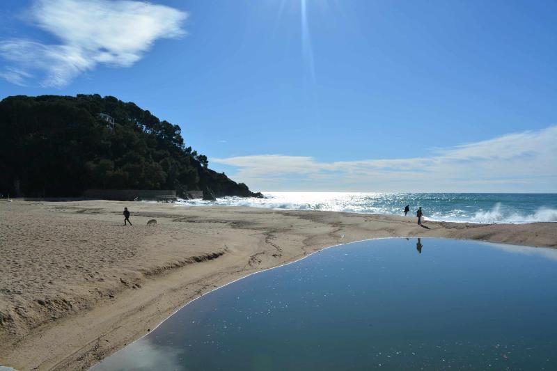 Las Antillas Piscina y Terraza Playa Fenals 4pax - image 19