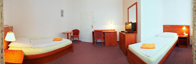 Standard Twin Room image 2
