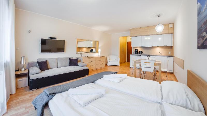 Studio Apartment image 3