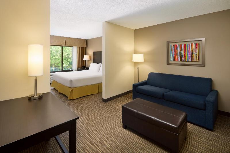 Standard King Room with Mobility Accessible Tub image 4