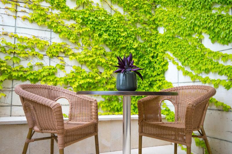 Superior Double or Twin Room image 4