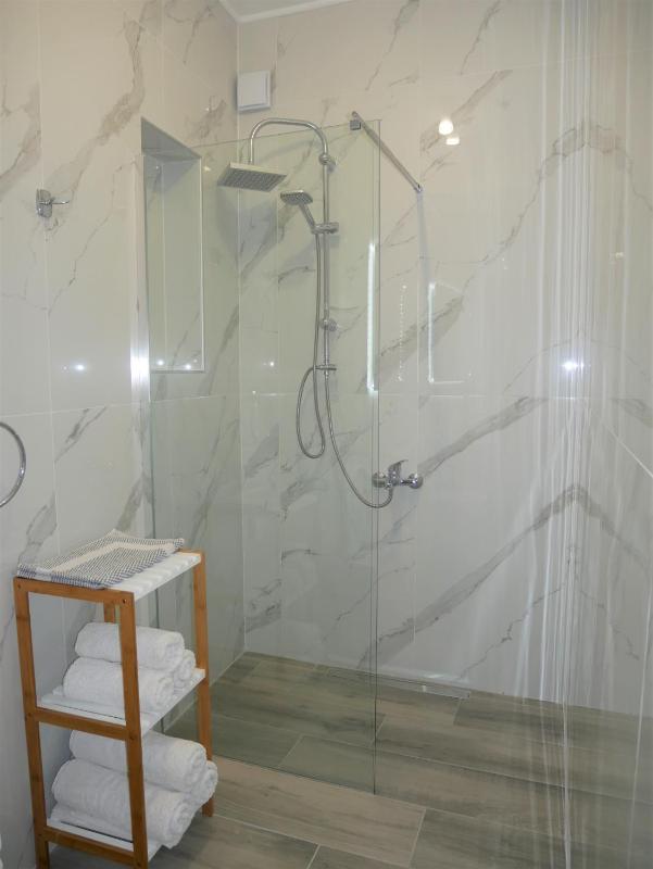 One-Bedroom Apartment image 4