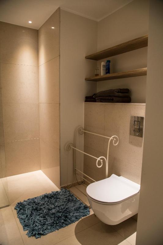 One-Bedroom Apartment image 4