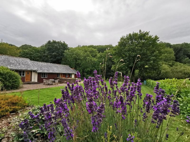 Rose in Vale Country House Hotel - image 38