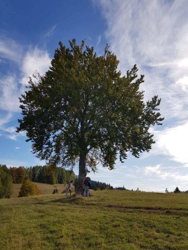 One-Bedroom Apartment image 4