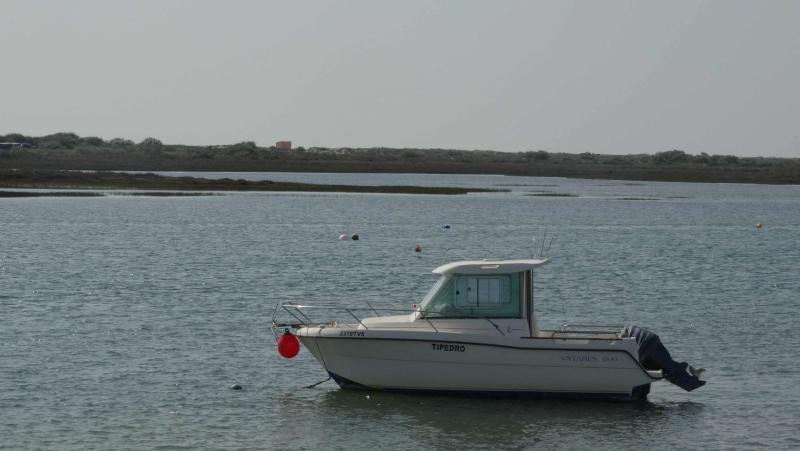 Apartamento Girassol Cabanas Gardens by Your Home Algarve - image 12