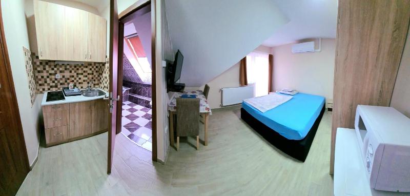 Studio with Balcony image 3