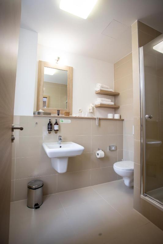 One-Bedroom Apartment image 2