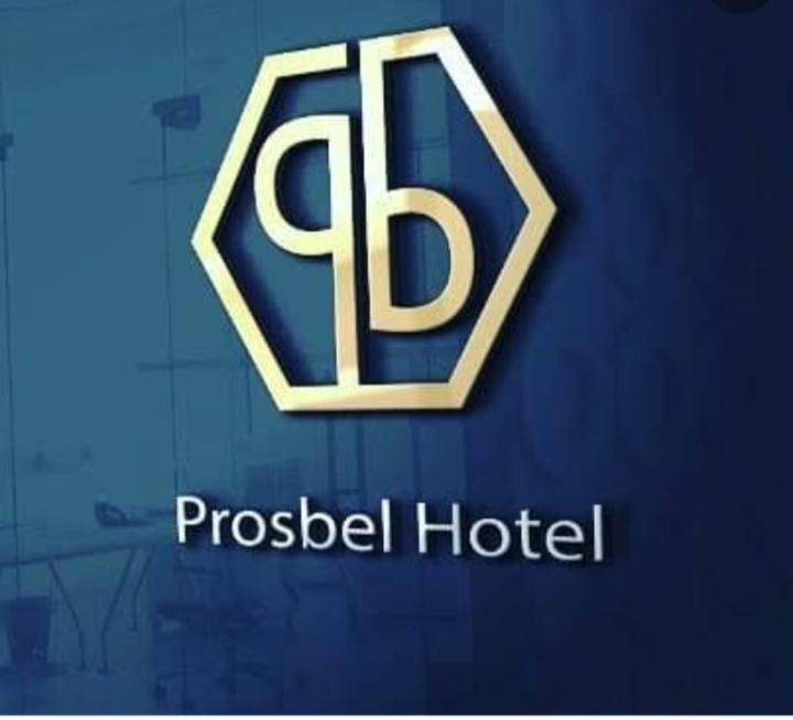 Prosbel Hotel - image 11