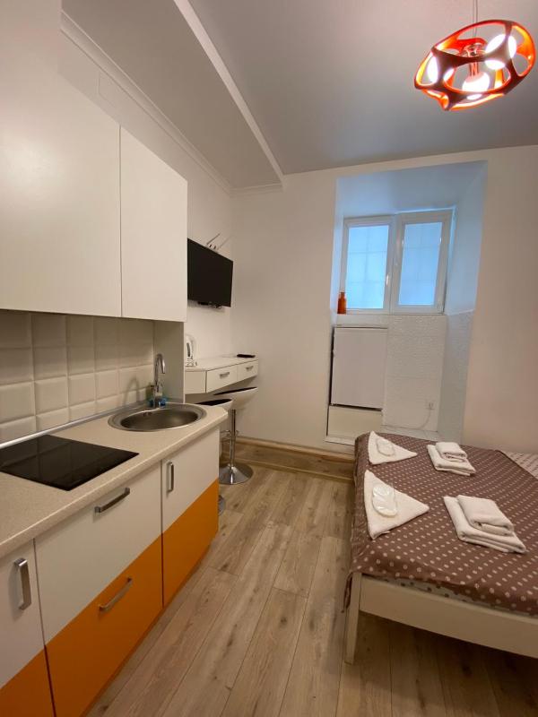 One-Bedroom Apartment image 3