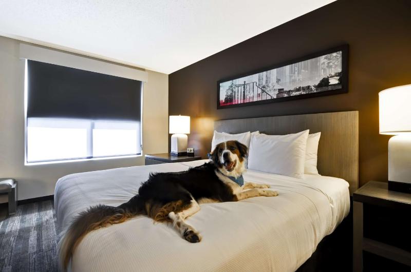 One-Bedroom King Suite image 4