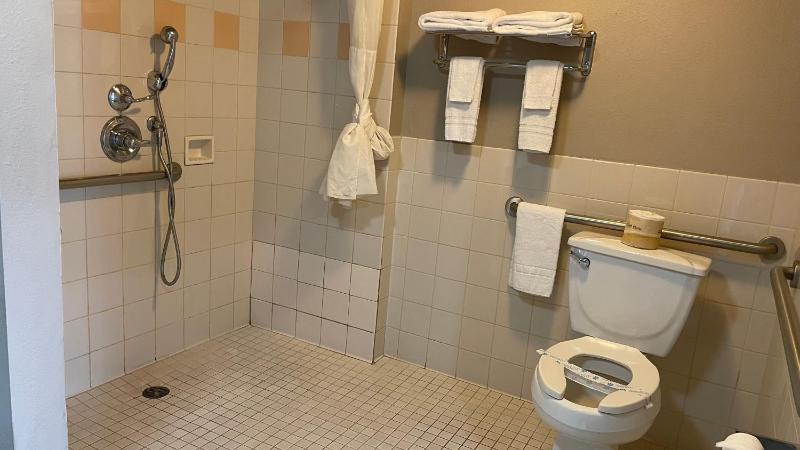 King Room - Disability Access image 3