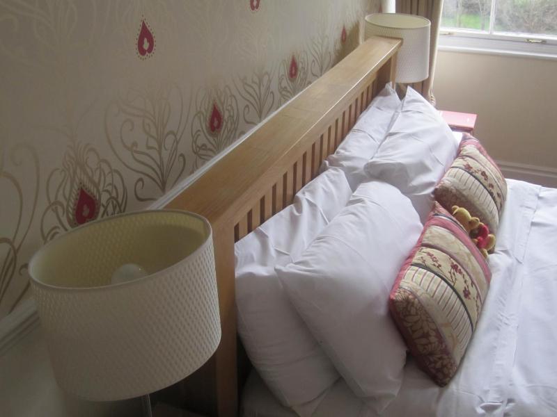 Deluxe Double Room image 3