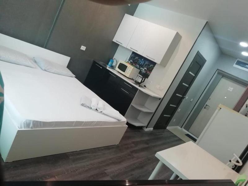 One-Bedroom Apartment image 1