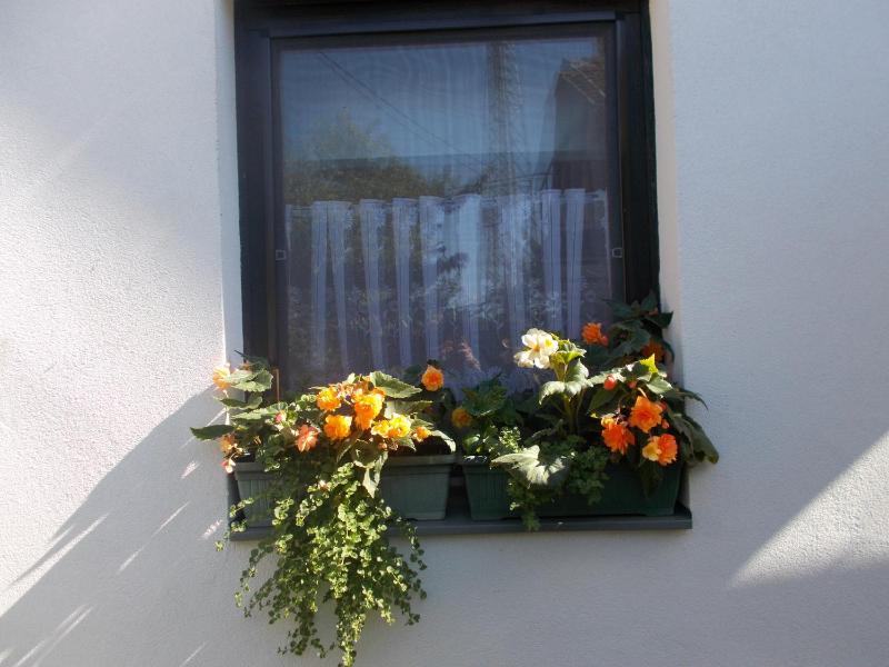 Lenart House 2 - image 18