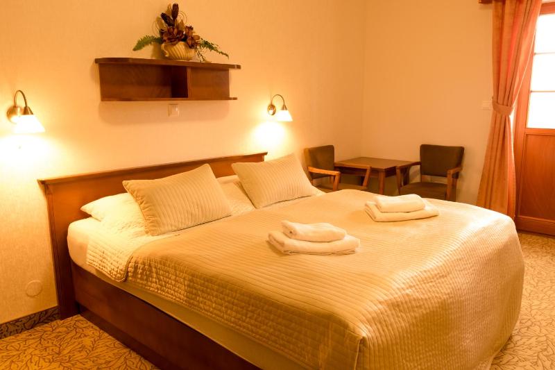 Hotel VÍTKOVA HORA - image 30