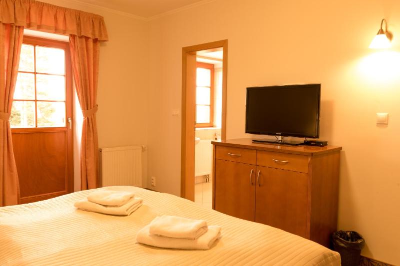 Hotel VÍTKOVA HORA - image 6