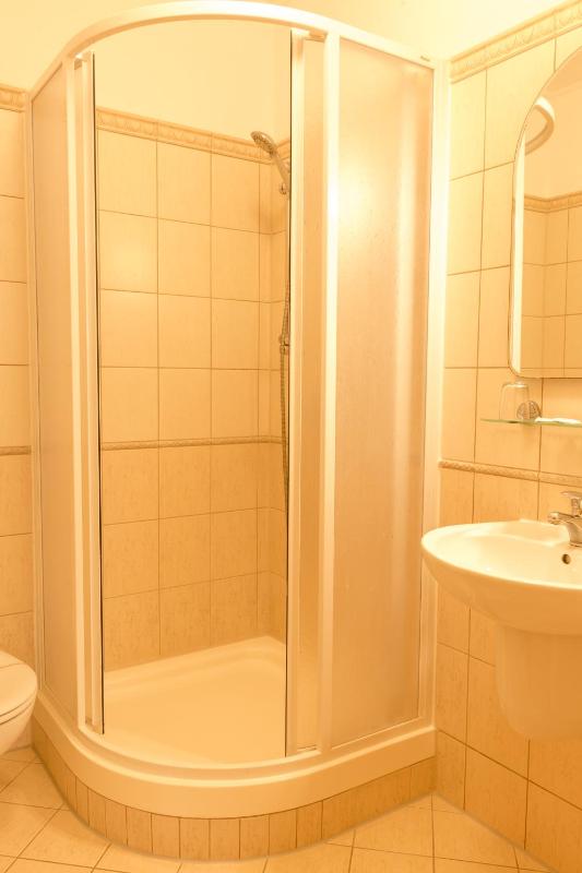 Hotel VÍTKOVA HORA - image 26
