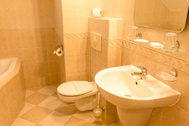 Hotel VÍTKOVA HORA - image 20