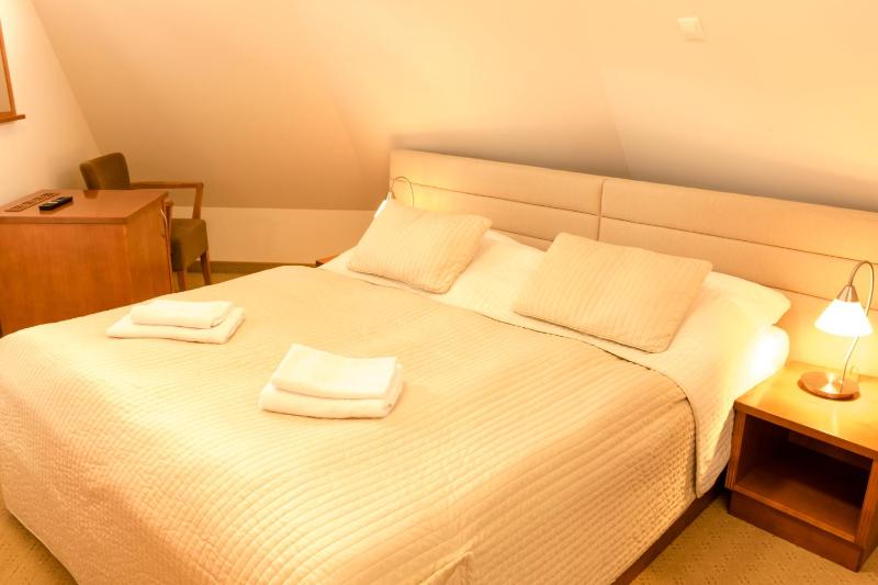 Hotel VÍTKOVA HORA - image 34