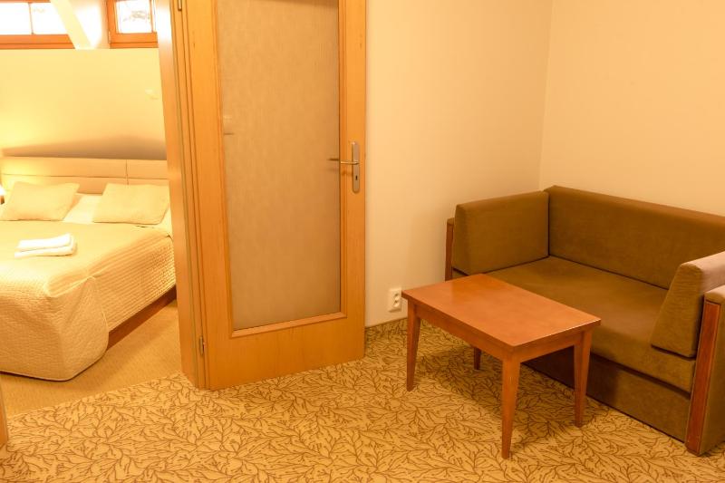 Hotel VÍTKOVA HORA - image 13