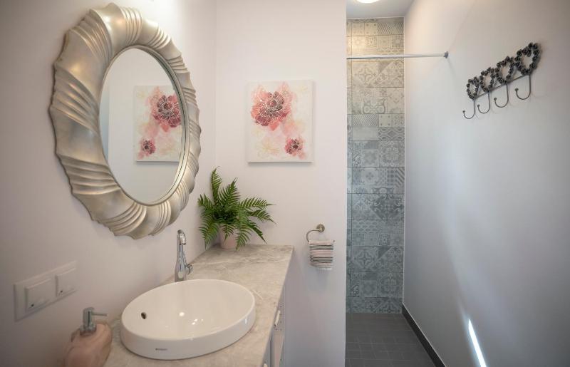One-Bedroom Apartment image 4