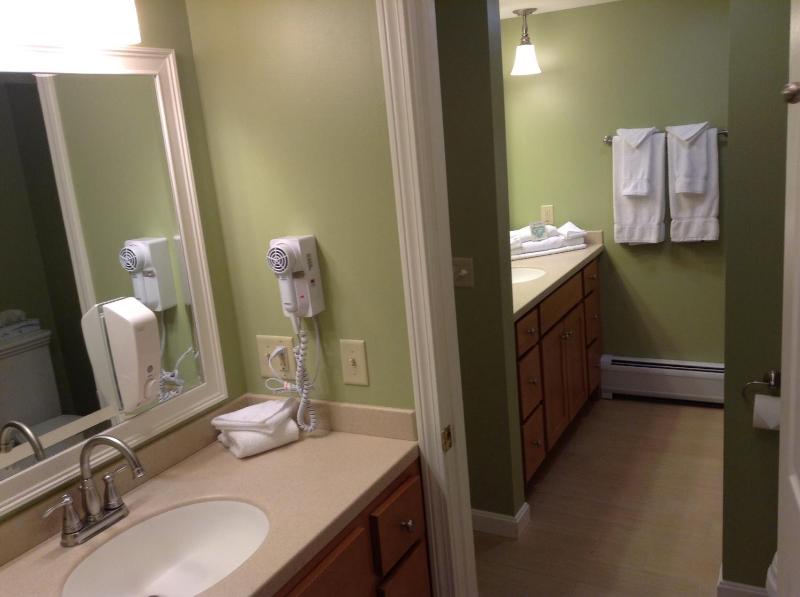 Deluxe Two Bed Room Suite image 2