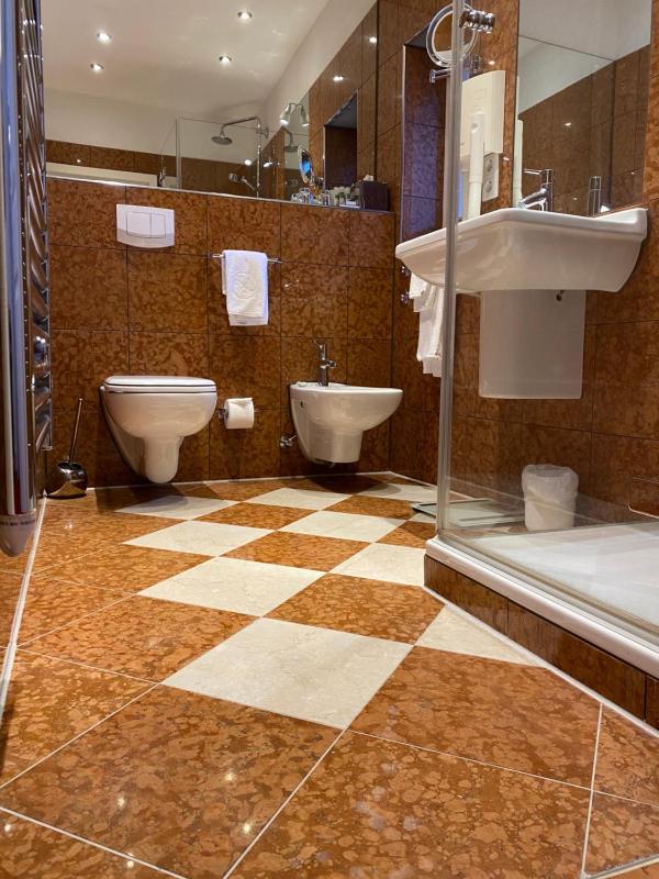 Deluxe Double or Twin Room image 2