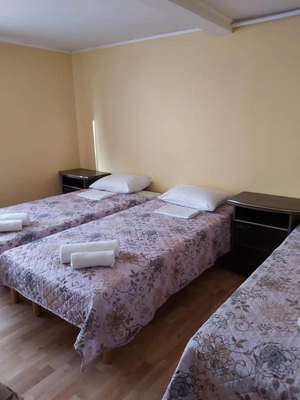 Vila Giruliai - image 13