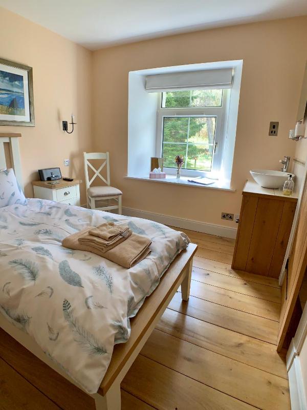 Single Room image 4