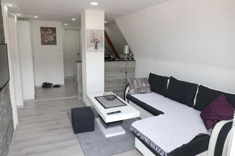 One-Bedroom Apartment image 1