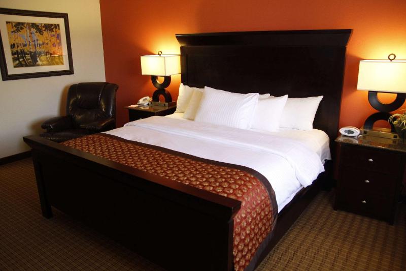 Ramada by Wyndham Viscount Suites Tucson East - image 42