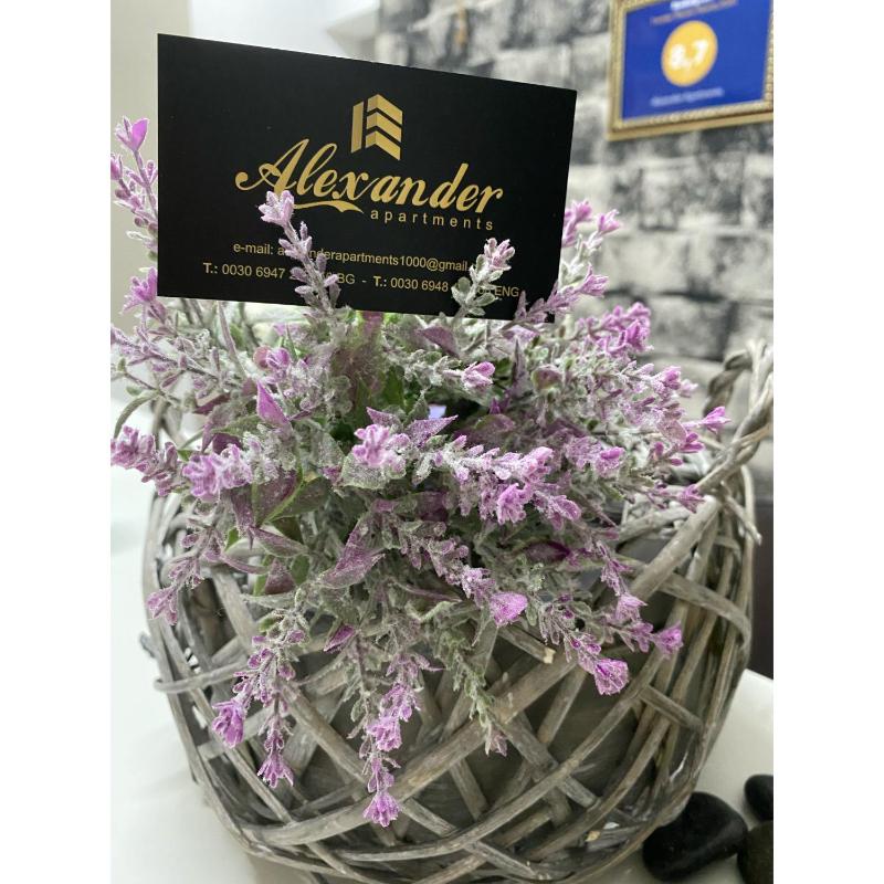 Alexander Apartments - image 23