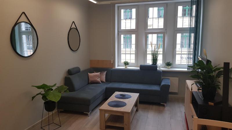 One-Bedroom Apartment image 2