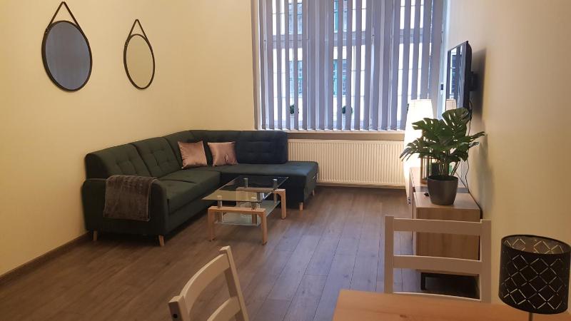 One-Bedroom Apartment image 2