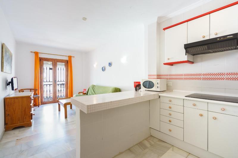 One-Bedroom Apartment image 2