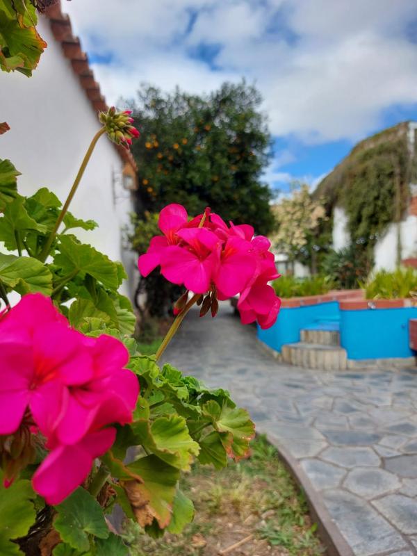 COYA HOSTEL - image 8