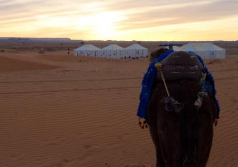 Morocco Luxury Camp - Merzouga Desert Retreat - image 11