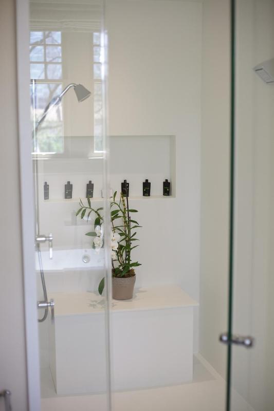Deluxe King Suite image 4