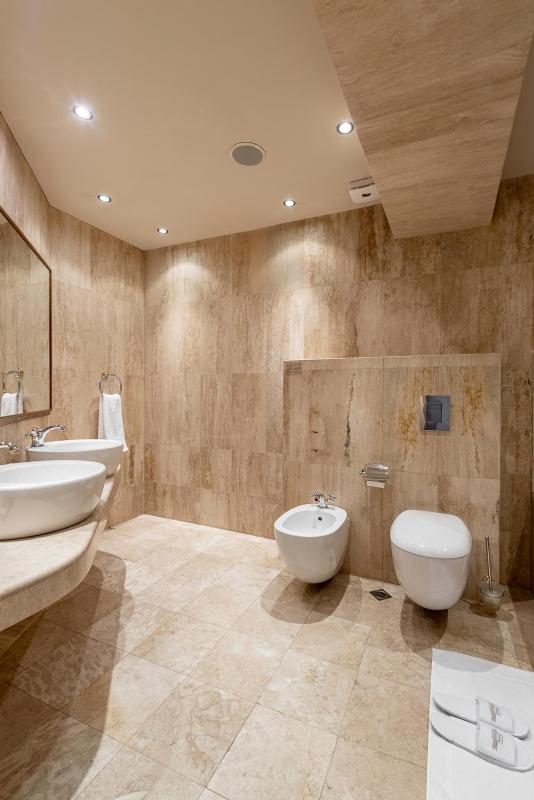 Large Suite image 2
