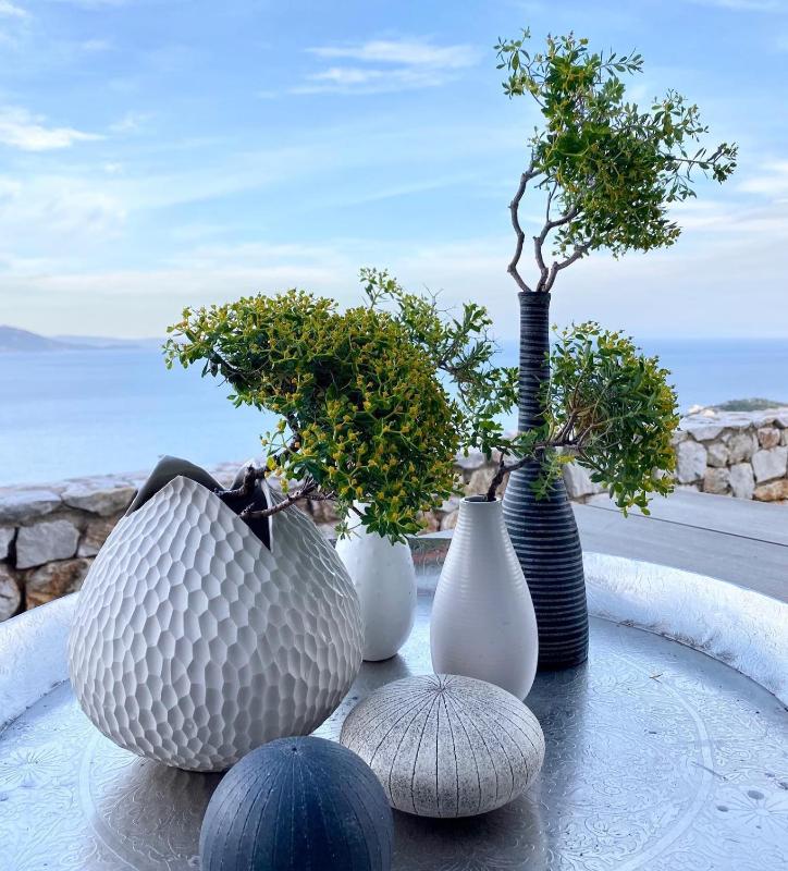 Villa with Sea View image 3