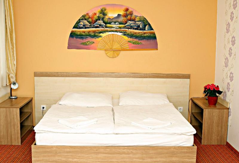 Silver Hotel Budapest City Center - image 9
