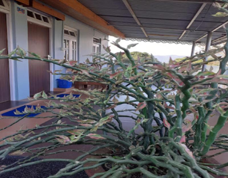 StayApart - Chiabari Homestay - image 7