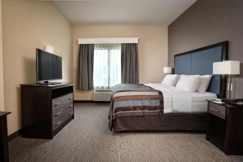 Wingate by Wyndham Savannah/Pooler - image 24