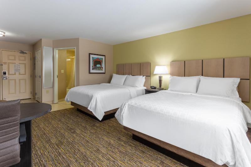 Studio Suite with Two Queen Beds image 3