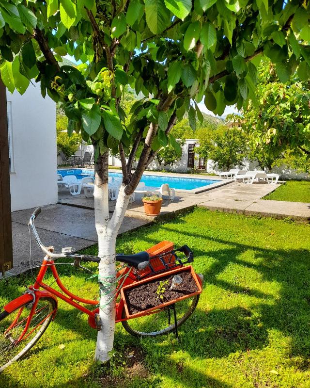 Vacation house Vila Guma Rastani Mostar - image 9