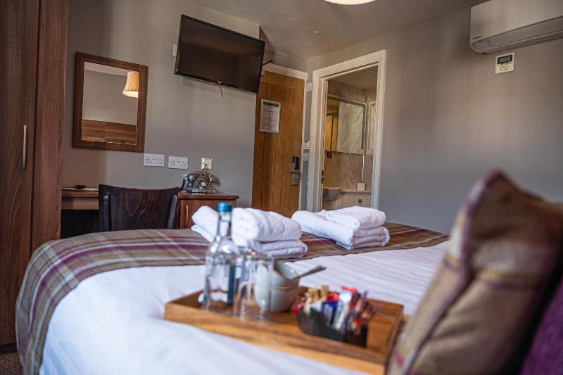 Superior Double or Twin Room image 3
