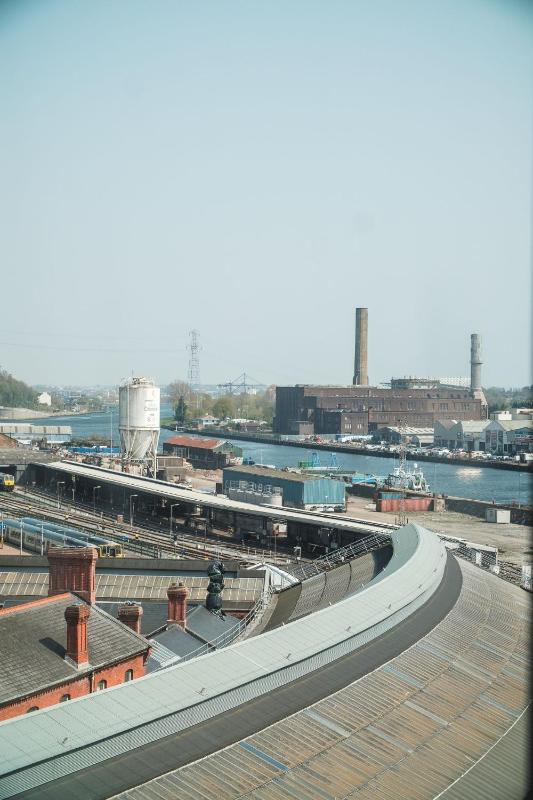 The Dean Cork - image 16