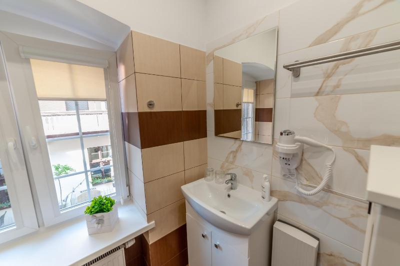 One-Bedroom Apartment image 4